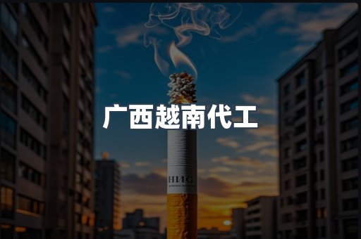 广西越南代工